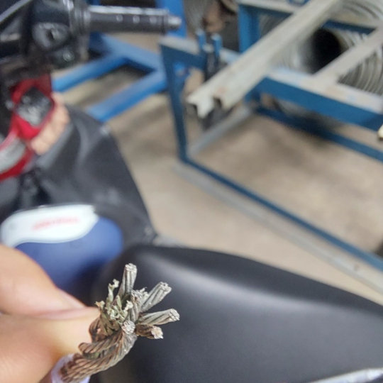 Cáp trần nứu trụ